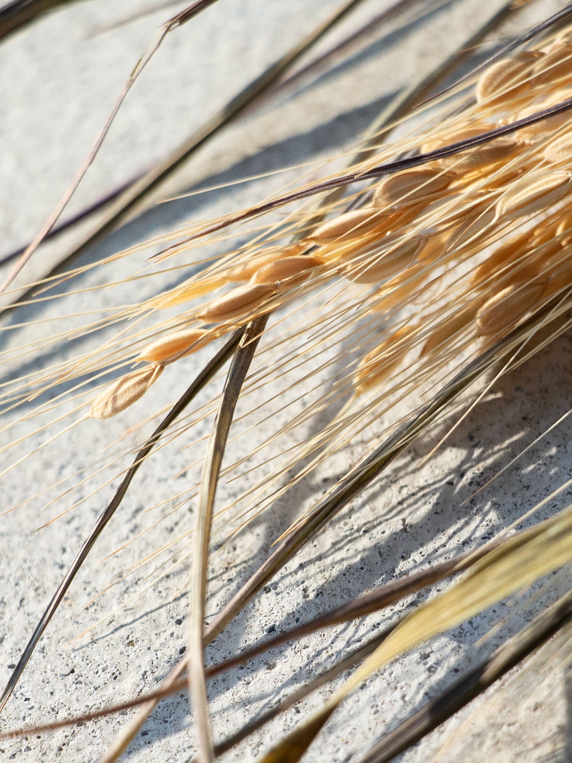 山から福がおりてくる しめ飾り 宝珠稲穂三段（ほうじゅいなほさんだん）