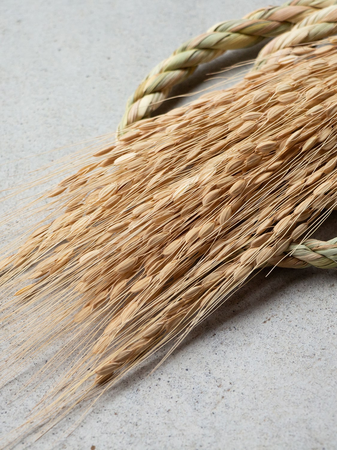 工房ストロー　福駒開運馬蹄　しめ飾り