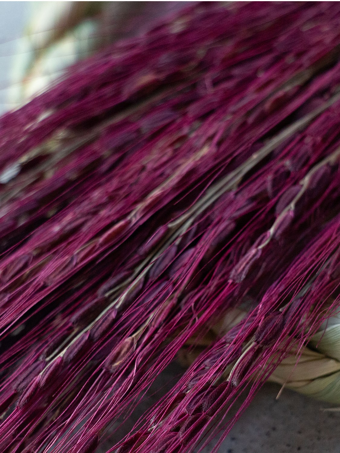 山から福がおりてくる しめ飾り 鯉目御縁（赤）（こいめごえん あか）