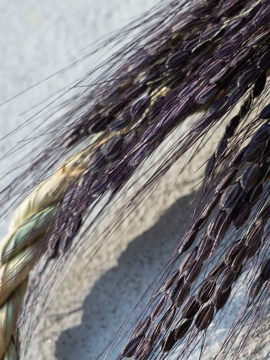 山から福がおりてくる しめ飾り 無限瓢箪から駒（紫）（むげんひょうたんからこま むらさき）