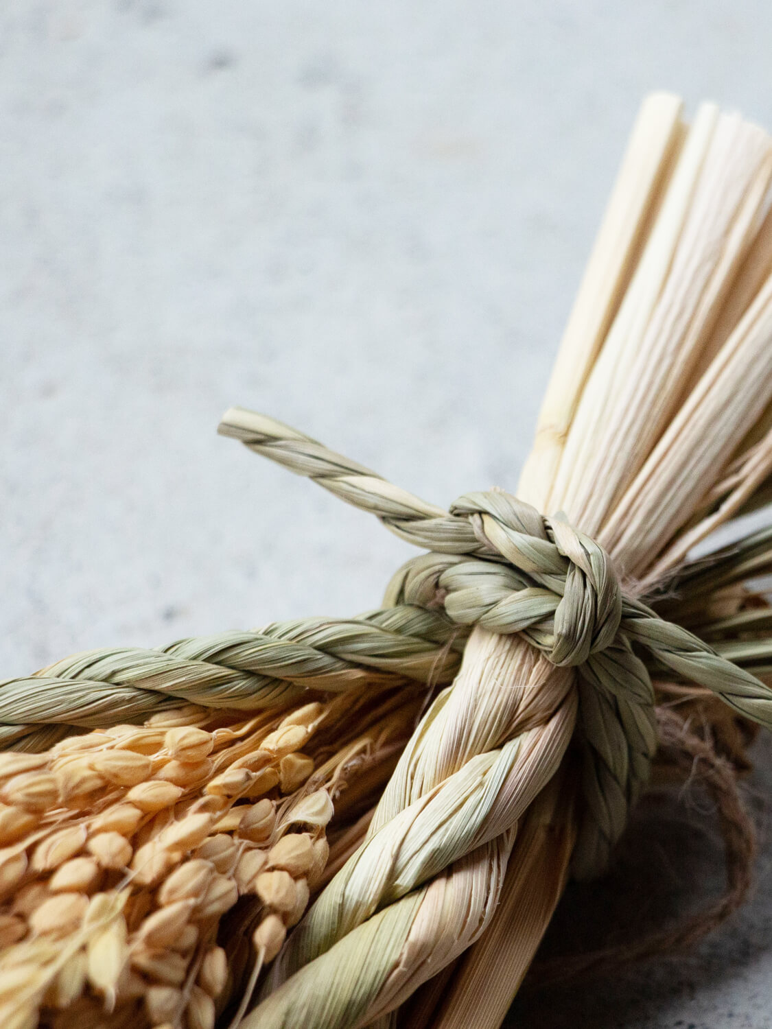 山から福がおりてくる しめ飾り 末広出芽繁栄（すえひろしゅつがはんえい）