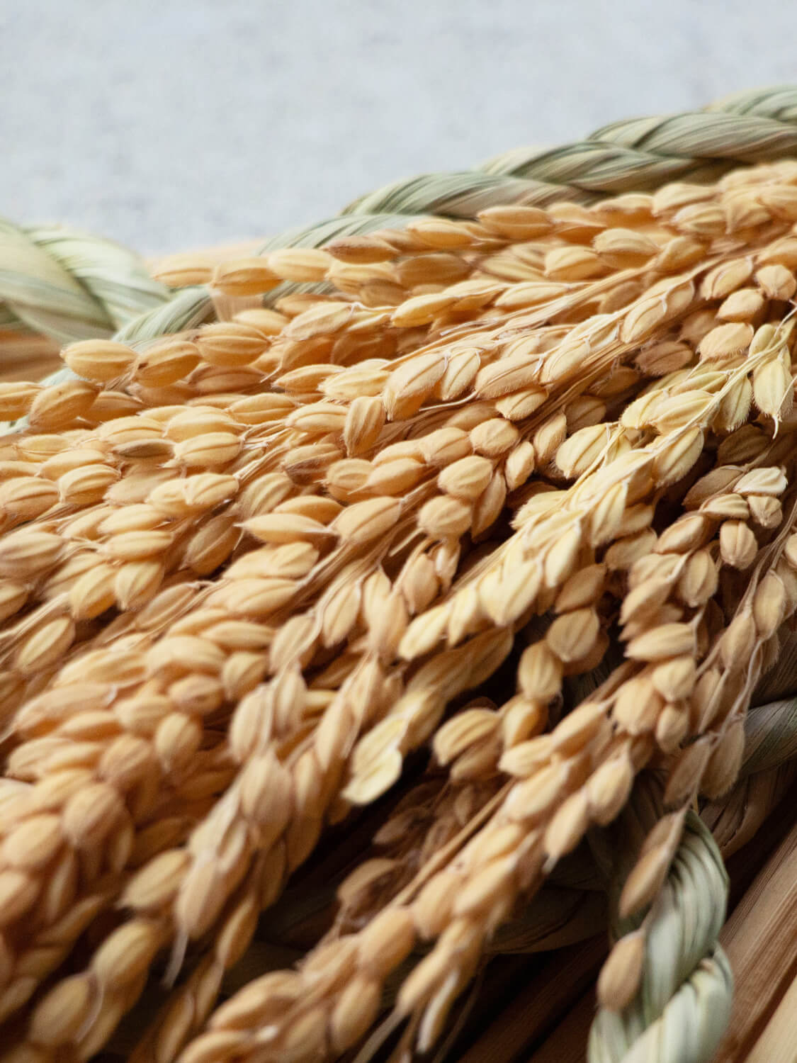 山から福がおりてくる しめ飾り 末広出芽繁栄（すえひろしゅつがはんえい）