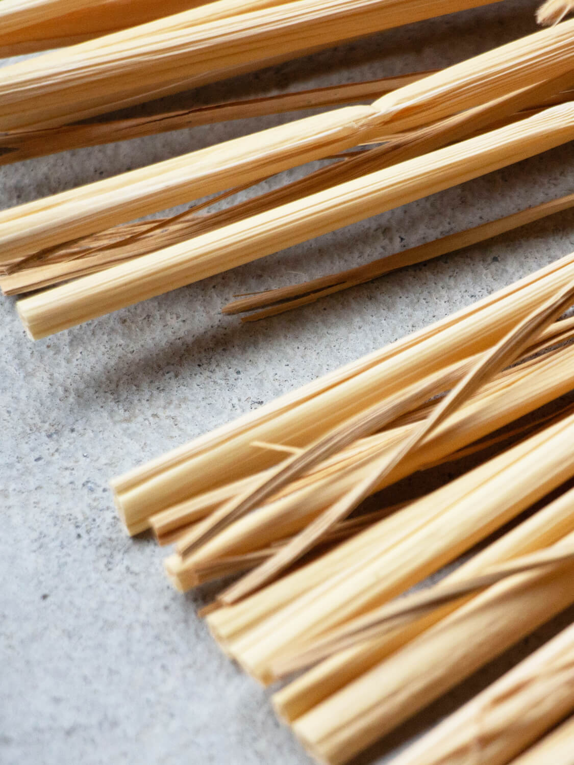 山から福がおりてくる しめ飾り 末広出芽繁栄（すえひろしゅつがはんえい）