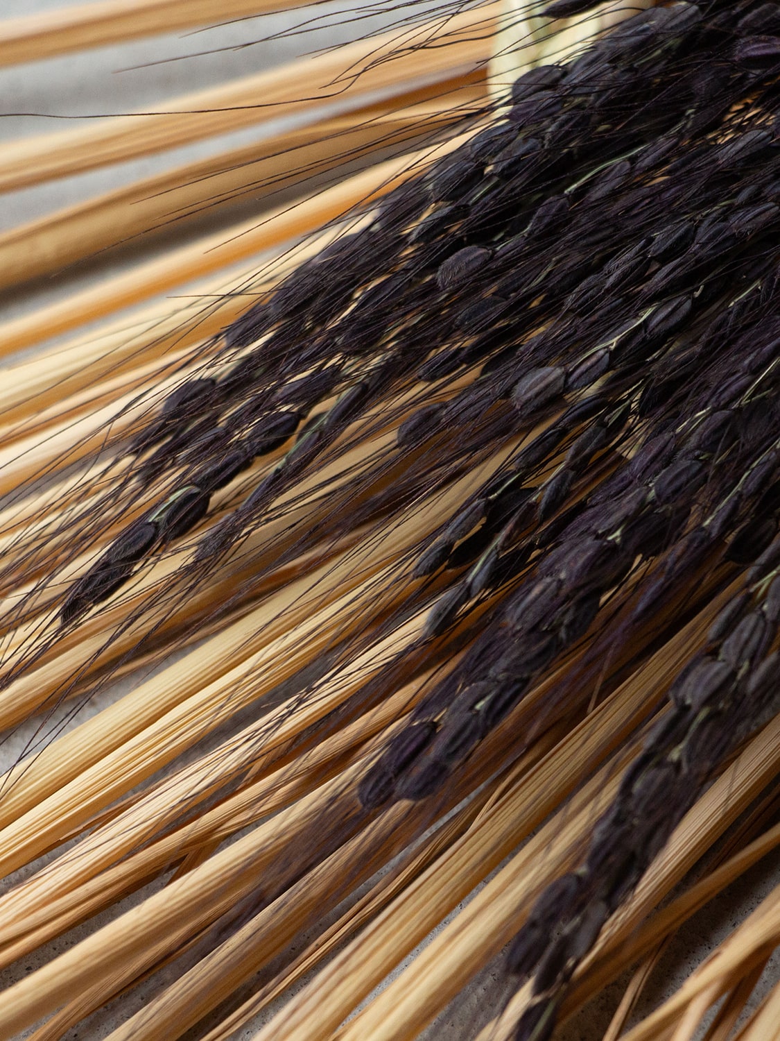 工房ストロー　末広輪三連　しめ飾り