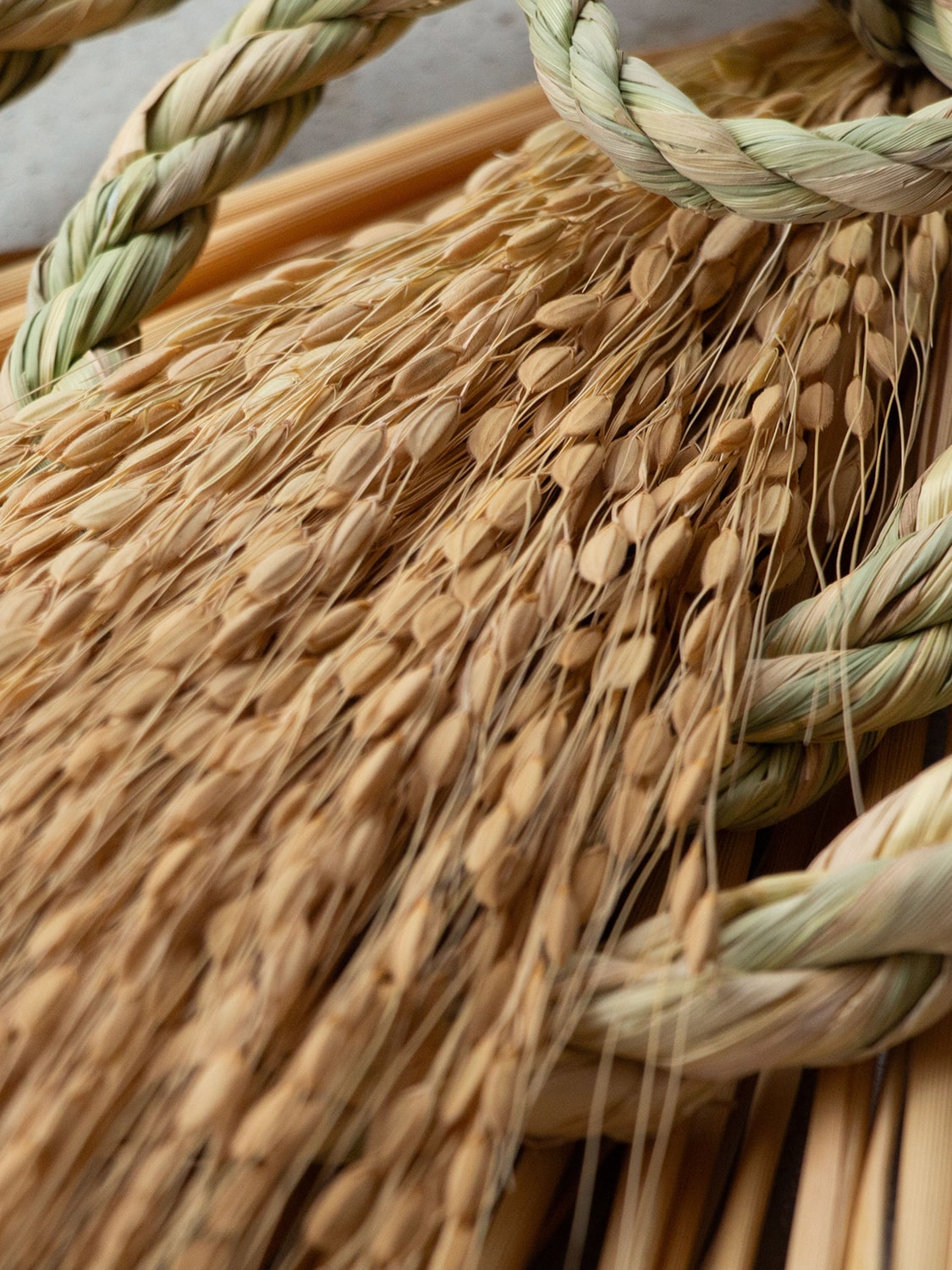 工房ストロー　末広輪三連　しめ飾り