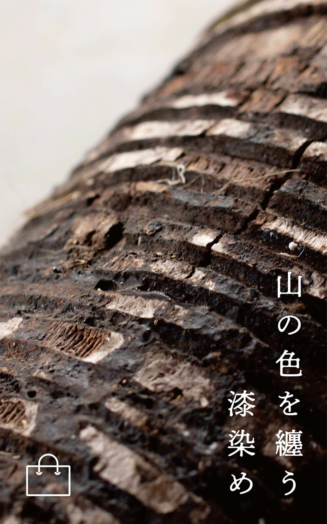 山の色を纏う 漆染