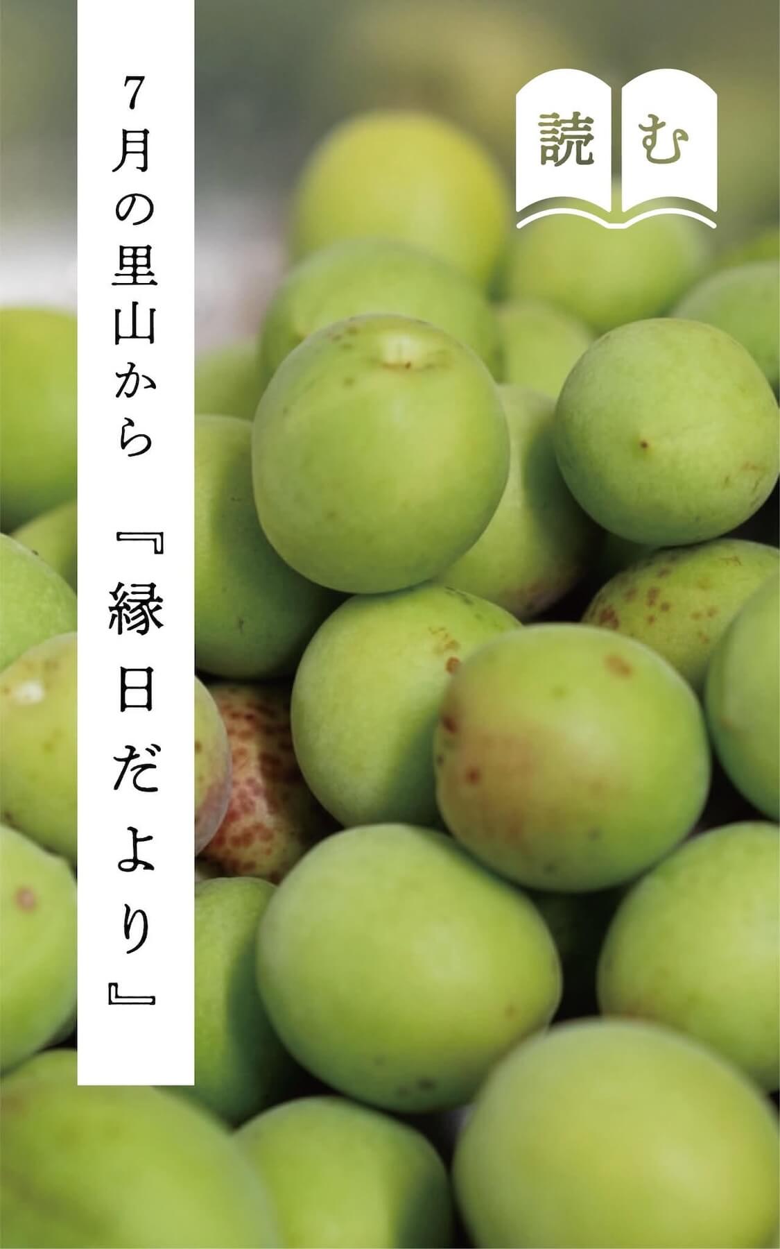 縁日だより 7月