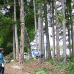 縁日だより vol.1｜里山に、夏がきました。