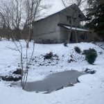 縁日だより vol.8｜冬真っ盛りの里山です