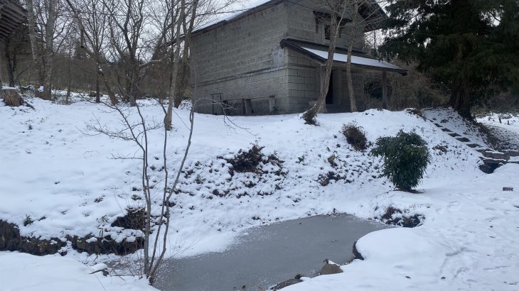 縁日だより vol.8｜冬真っ盛りの里山です