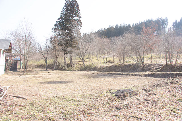 サンショウウオ 里山