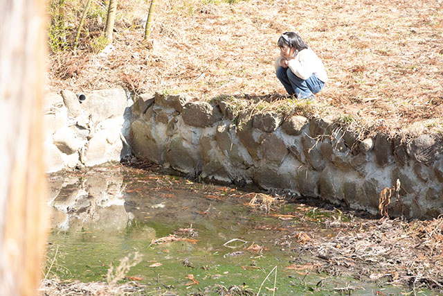 サンショウウオ 里山