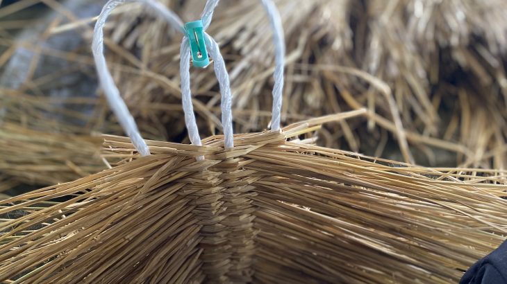 縁日だより vol.9｜春の気配がやってきました