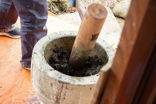 正藍冷染　藍玉作り