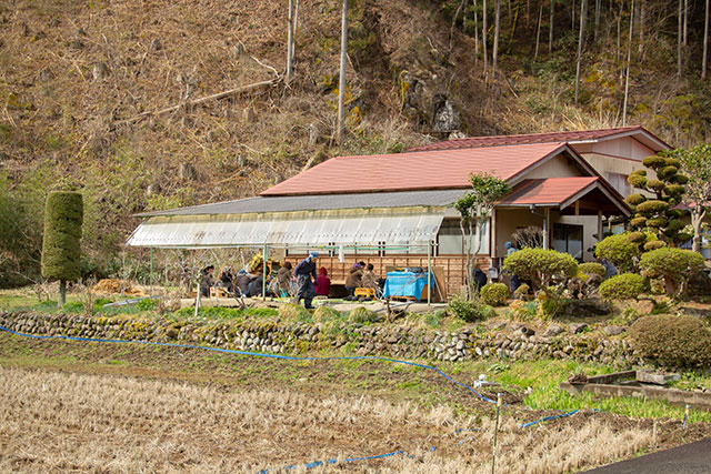 正藍冷染　藍玉作り