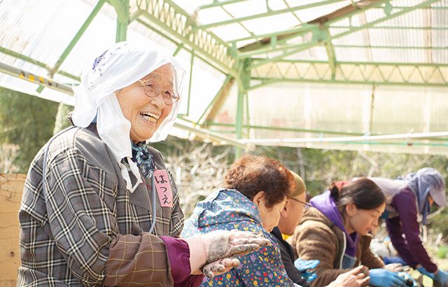 昨年に続き、今年も正藍冷染の藍玉づくりへ