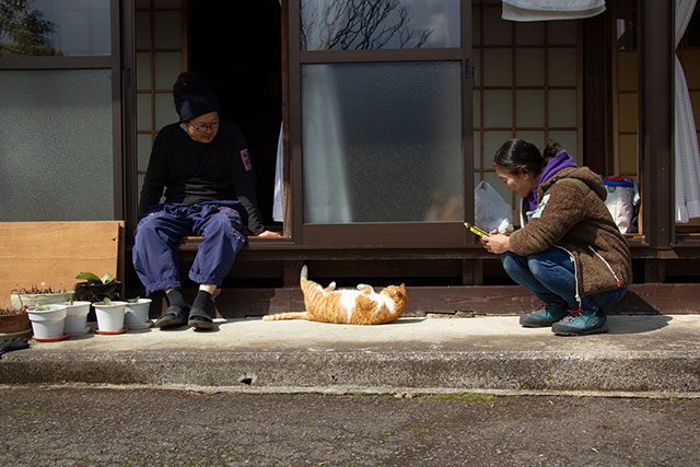 正藍冷染　藍玉作り